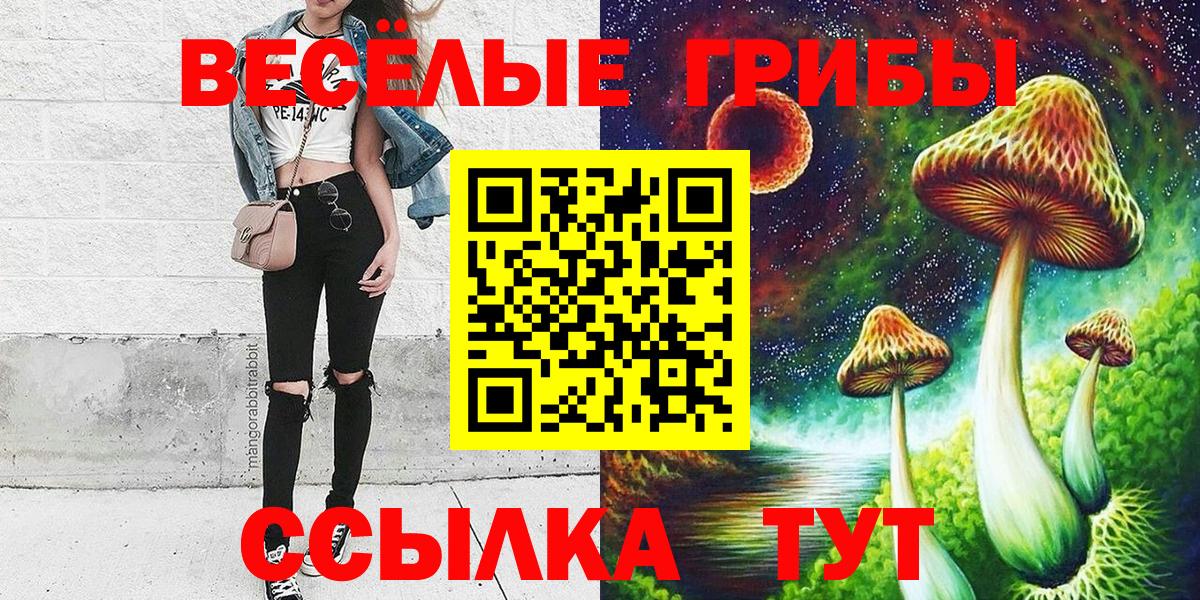 Будённовск  Галлюциногенные грибы ЛСД  Вход с VPN 
